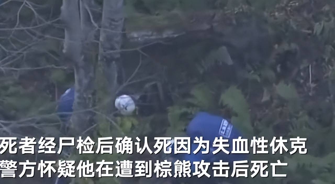 日本一棕熊尸体内发现人体残骸